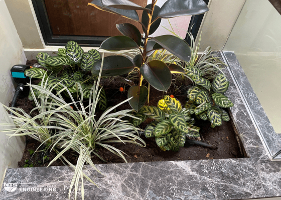 bia-lap-dat-he-thong-tuoi-tu-dong-cho-san-vuon-5