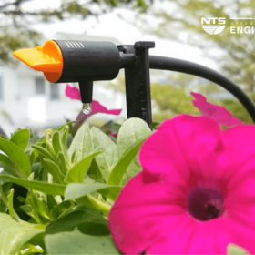 Nên chọn hệ thống tưới cây tự động nào cho vườn rau là hợp lý?