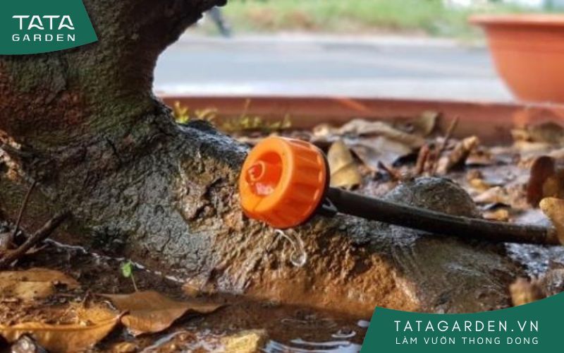 Một mẫu đầu tưới nhỏ giọt bù áp