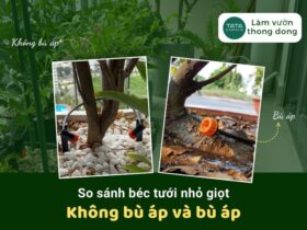 Sự khác nhau giữa đầu tưới nhỏ giọt bù áp và không bù áp