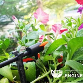 Ưu điểm hấp dẫn khi thi công hệ thống tưới nhỏ giọt cho khu vườn