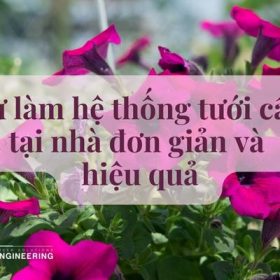 MÁCH BẠN 4 CÁCH TỰ LÀM HỆ THỐNG TƯỚI CÂY TẠI NHÀ ĐƠN GIẢN VÀ HIỆU QUẢ