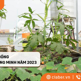 BÁO GIÁ NHANH HỆ THỐNG TƯỚI CÂY THÔNG MINH