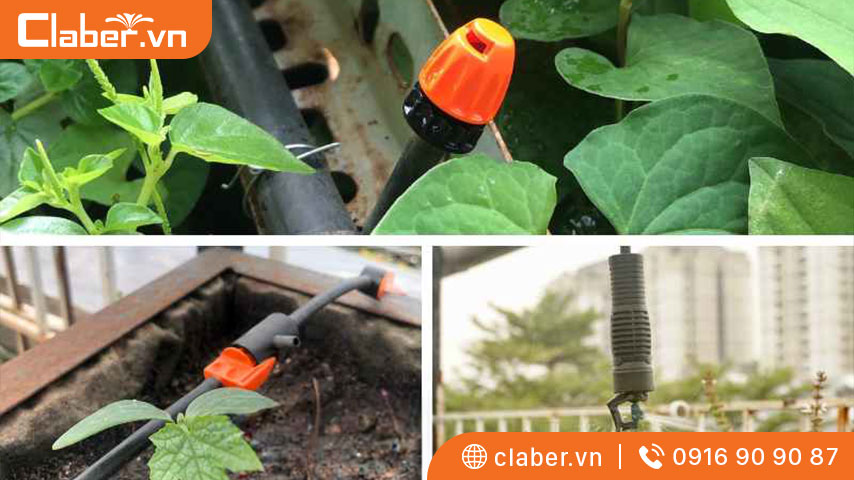 báo giá nhanh hệ thống tưới cây thông minh