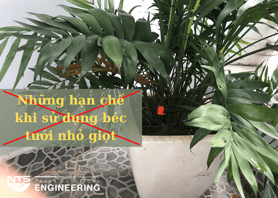 Han-che-khi-su-dung-bec-tuoi-nho-giot