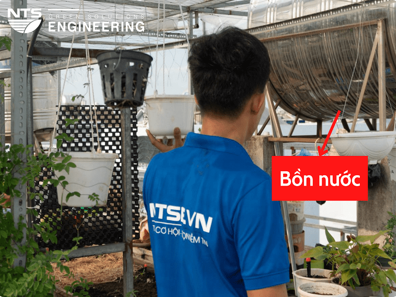 Lap-bon-nuoc-cho-he-thong-tuoi-tu-dong