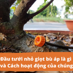 Đầu tưới nhỏ giọt bù áp – có thể bạn chưa biết