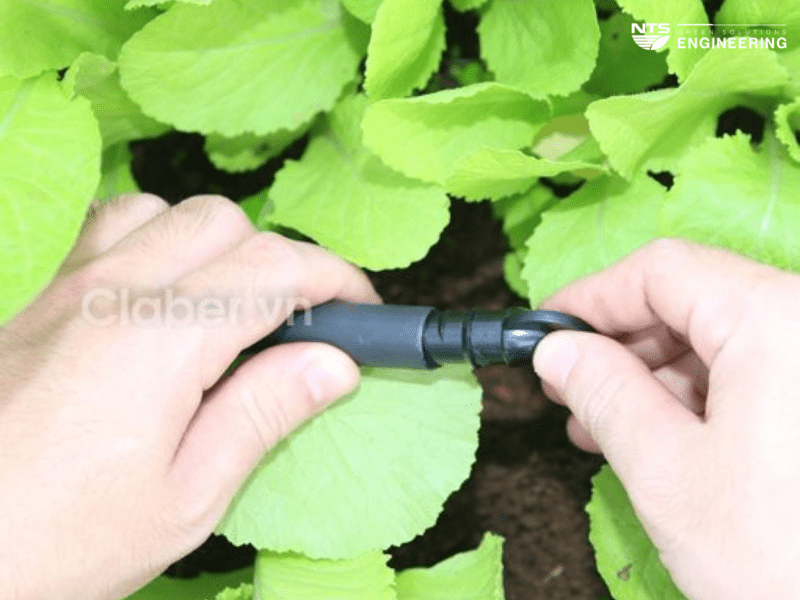 Nút bịt ống Claber