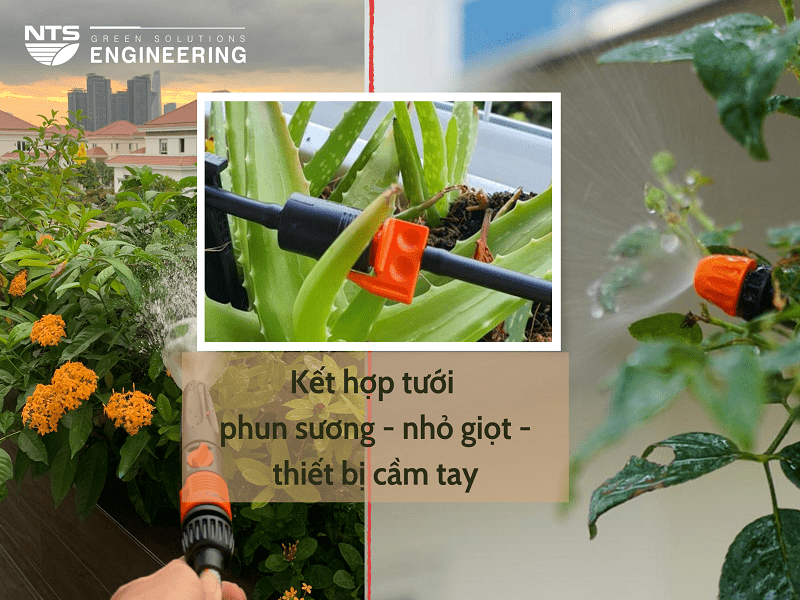 ket-hop-tuoi-cam-tay-nho-giot-phun-suong