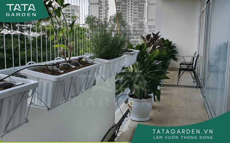 Hệ thống tưới cây nhỏ giọt