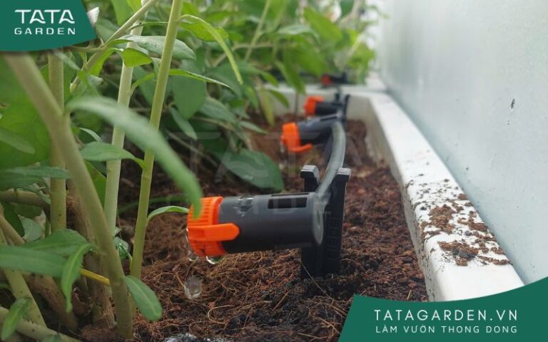 Top 9 loại béc tưới nhỏ giọt tiết kiệm nước, được ưa dùng