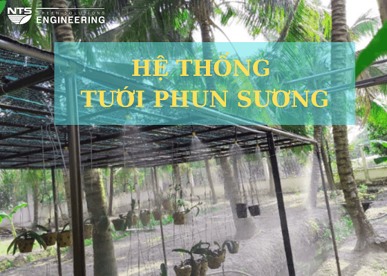 He-thong-tuoi-phun-suong