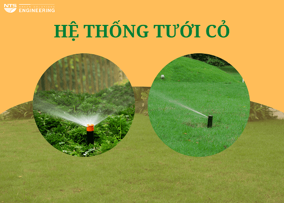he-thong-tuoi-co
