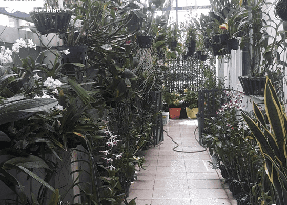 he-thong-tuoi-phun-suong-cho-lan-1