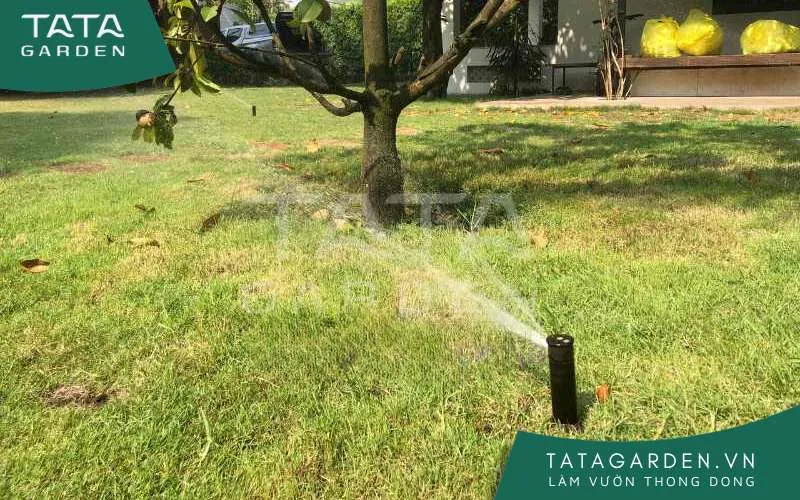 Béc tưới phun mưa là gì?