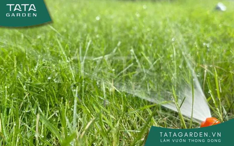 Ưu điểm béc tưới tia