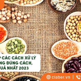 TỔNG HỢP CÁC CÁCH XỬ LÝ HẠT GIỐNG ĐÚNG CÁCH, HIỆU QUẢ NHẤT 2023