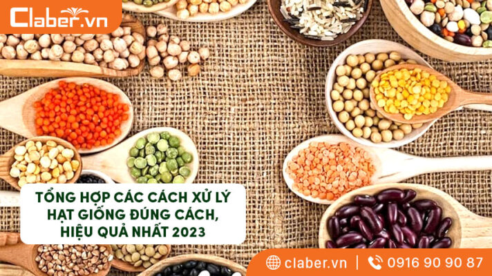 có mấy cách xử lý hạt giống