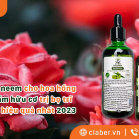 Tinh dầu neem cho hoa hồng – sản phẩm hữu cơ trị bọ trĩ trên cây hiệu quả nhất 2023