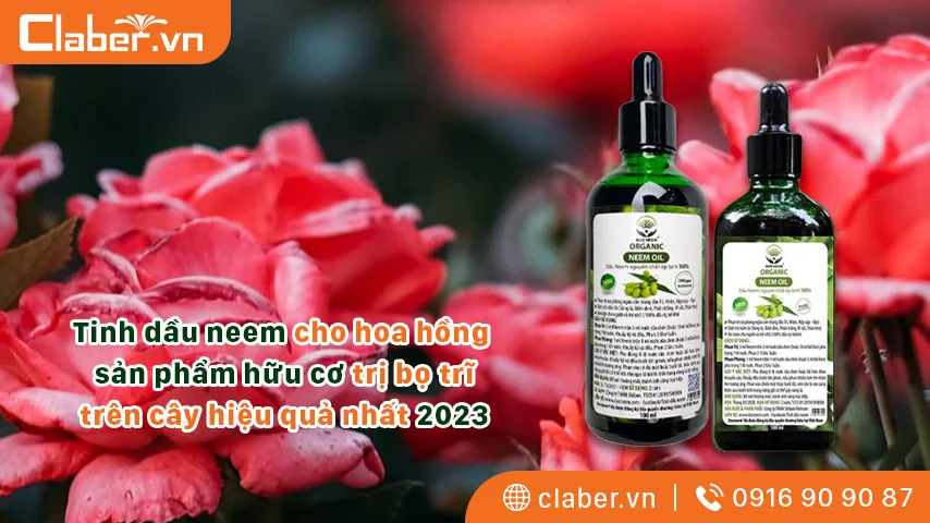 Tinh dầu neem cho hoa hồng – sản phẩm hữu cơ trị bọ trĩ trên cây hiệu quả nhất 2023