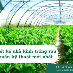 CÁCH THIẾT KẾ NHÀ KÍNH TRỒNG RAU SẠCH CHUẨN KỸ THUẬT MỚI 2024