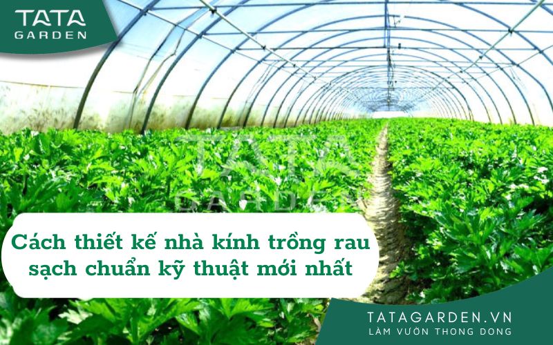 Ảnh bìa thiết kế nhà kính trồng rau sạch