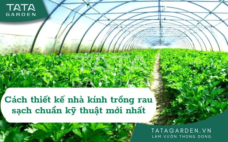 CÁCH THIẾT KẾ NHÀ KÍNH TRỒNG RAU SẠCH CHUẨN KỸ THUẬT MỚI 2024