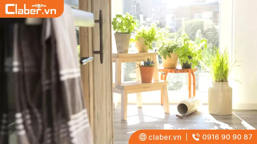 Chọn cây cảnh trong nhà theo Tuổi Tuất