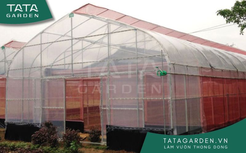 Nhà kính trồng rau là gì?