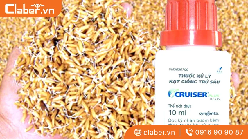 có mấy phương pháp xử lý hạt giống