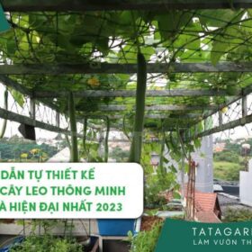 Cách thiết kế giàn trồng cây leo thông minh, đẹp cho sân vườn