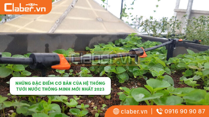 Hệ thống tưới nước thông minh
