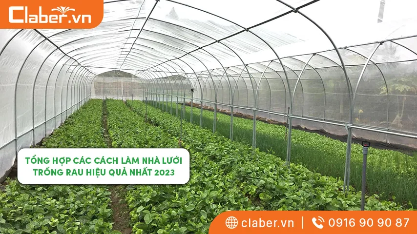 Tổng hợp các cách làm nhà lưới trồng rau hiệu quả nhất 2023