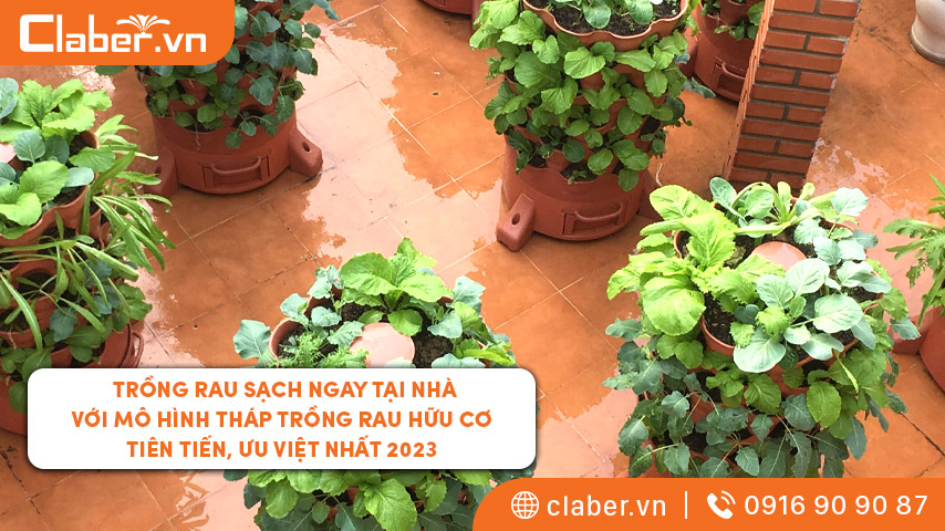 tháp trồng rau hữu cơ