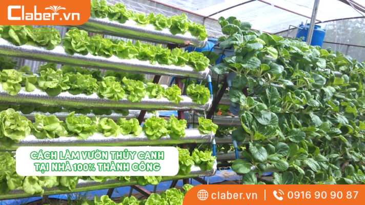 cách làm vườn thủy canh