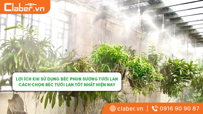 béc phun sương tưới lan