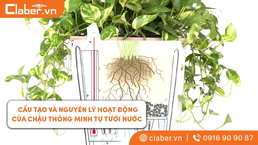 Cấu tạo của chậu thông minh tự tưới nước