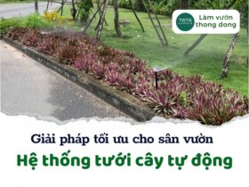 Hệ thống tưới tự động – Giải pháp tối ưu cho khu vườn của bạn