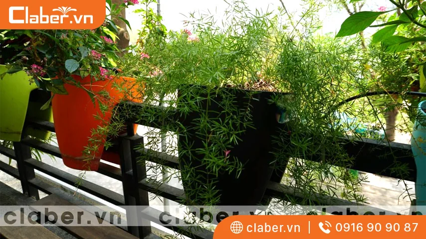 Hệ thống tưới ban công