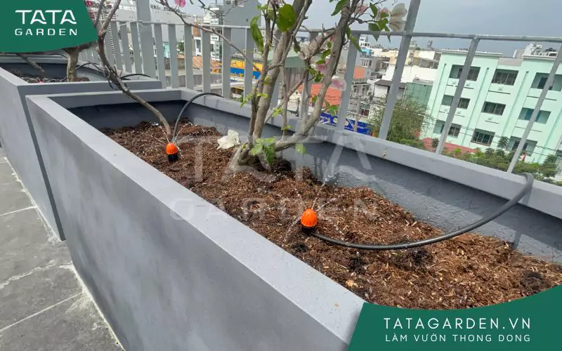 Hệ thống tưới cây tự động được ứng dụng cho rất nhiều trường hợp khác nhau