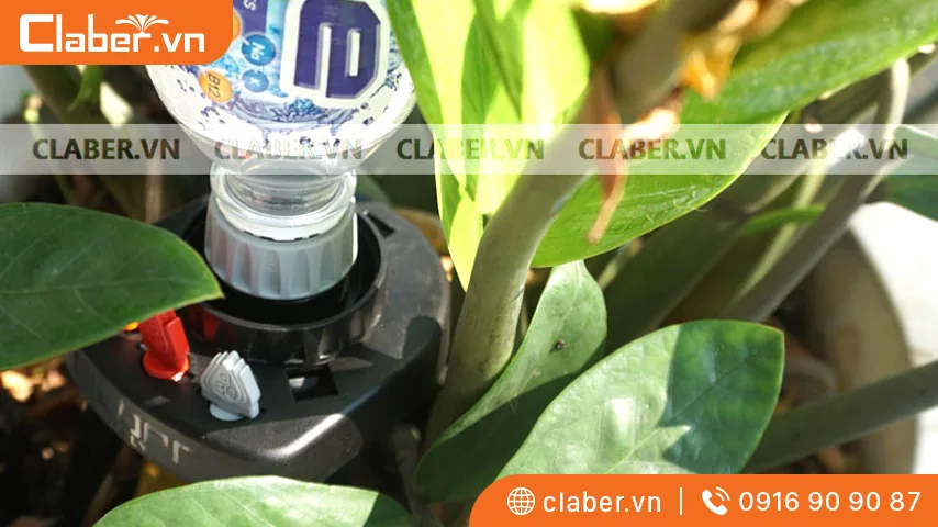 Hệ thống tưới nhỏ giọt tự chế giúp truyền ấm đến rễ dễ dàng
