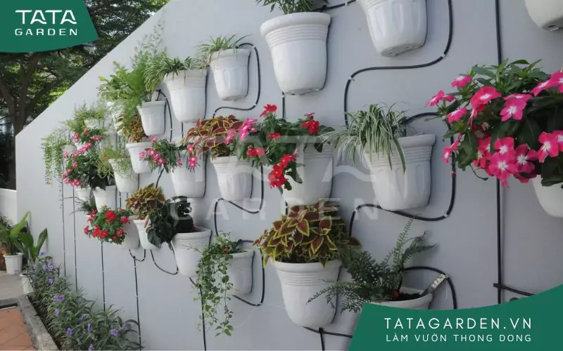 Hệ thống tưới nhỏ giọt cho chậu cây treo tường