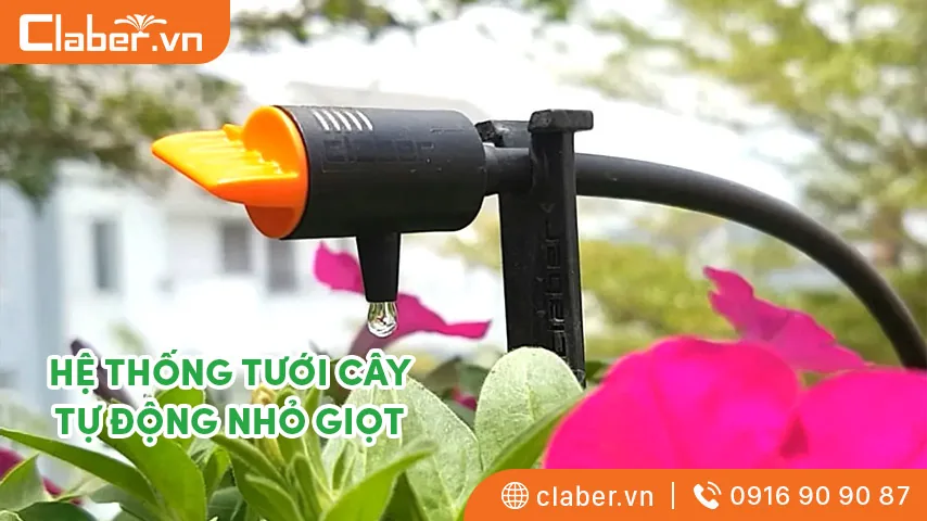 hệ thống tưới tự động