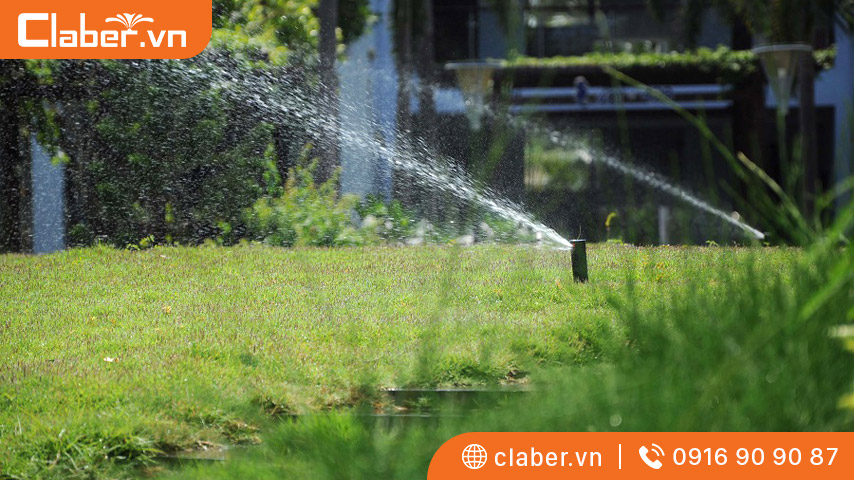 Hệ thống tưới phun mưa