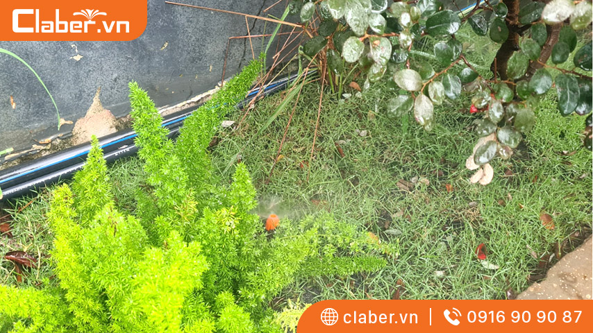 giá thiết bị tưới phun mưa