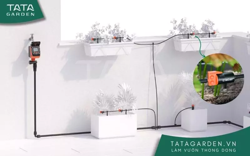 Mô hình tưới cây tự động nhỏ giọt cho sân vườn
