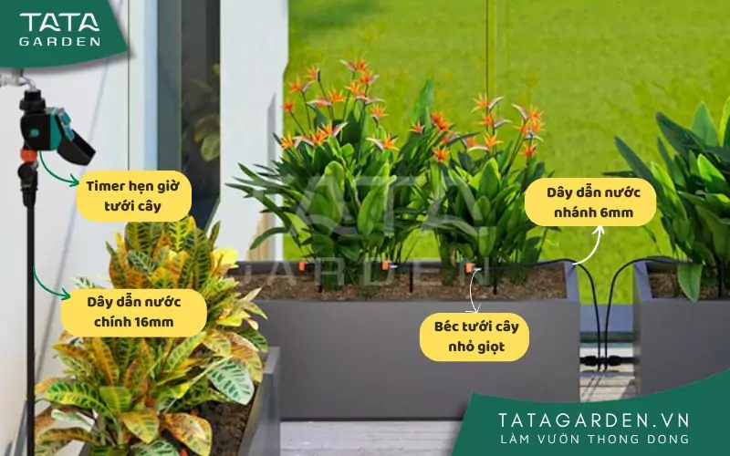 Cấu tạo của một hệ thống tưới cây tự động bhỏ giọt khá đơn giản