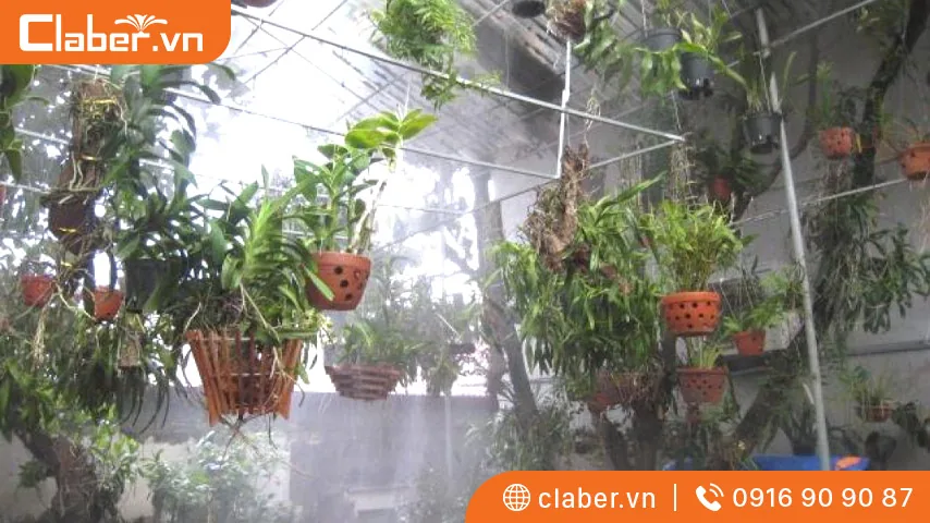 hệ thống tưới lan tự động