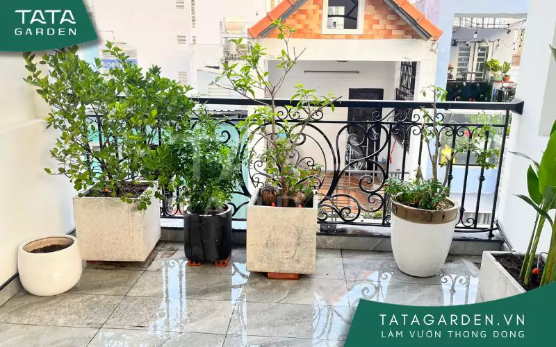 Tưới cây tự động nhỏ giọt cho ban công nhà phố