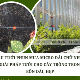 ĐẦU TƯỚI PHUN MƯA DẢI CHỮ NHẬT – GIẢI PHÁP TƯỚI CHO CÂY TRỒNG TRONG BỒN DÀI, HẸP